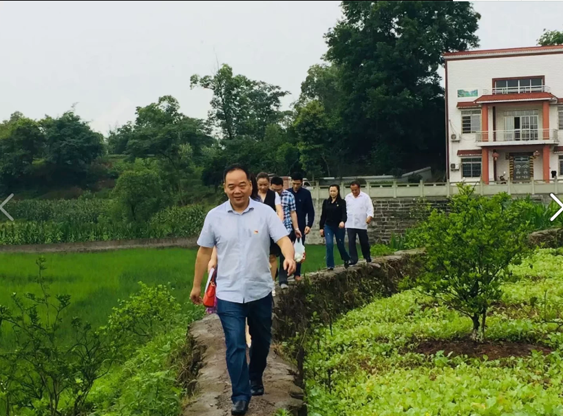 图片26.png